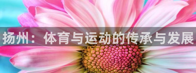 oety欧亿体育官网下载招商电话地址查询：扬州：体育