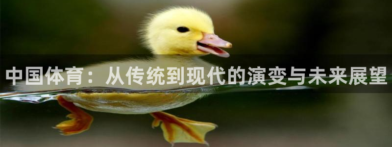 oety欧亿体育官网下载招商电话地址查询：中国体育：