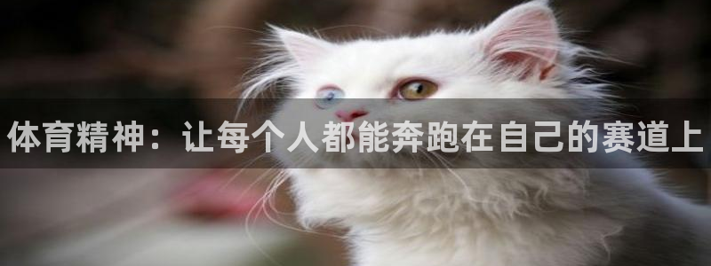 oety欧亿体育官网下载平台是正规平台吗知乎：体育精神：让每