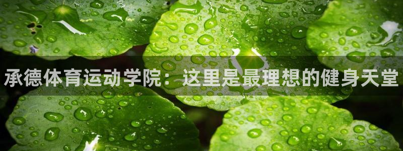 oety欧亿体育官网下载娱乐：承德体育运动学院：这里