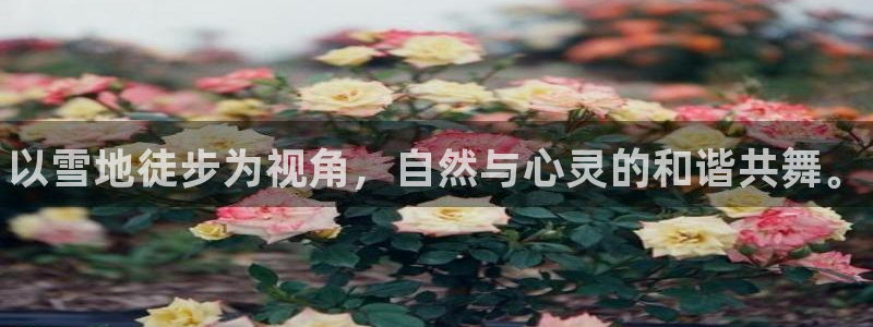 oety欧亿体育官网下载平台注册：以雪地徒步为视角，