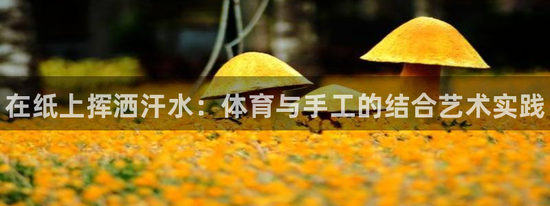 oety欧亿体育官网下载软件：在纸上挥洒汗水：体育与