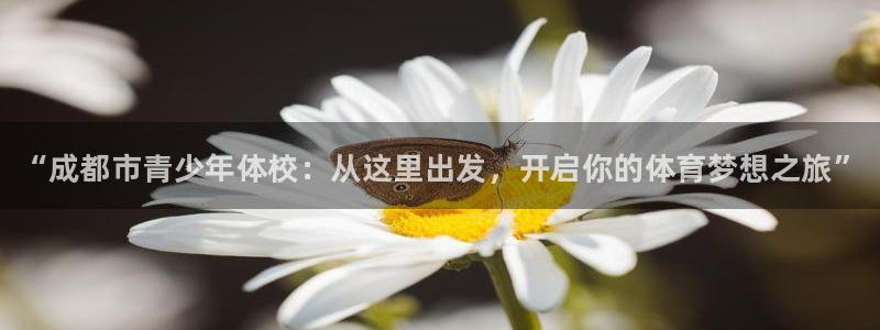 oety欧亿体育官网下载招商电话号码是多少啊：“成都