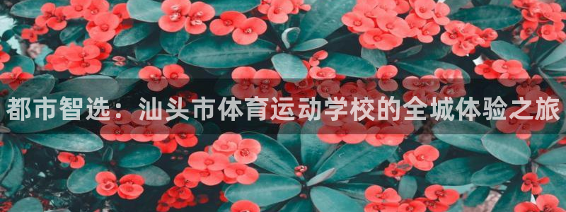 海南oety欧亿体育官网下载：都市智选：汕头市体育运