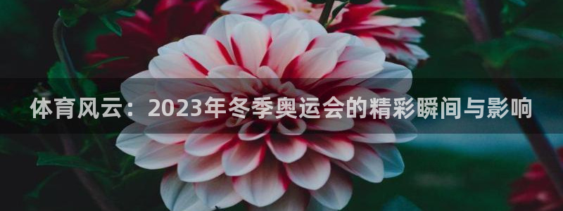 oety欧亿体育官网下载平台注册要钱吗安全吗：体育风云：20