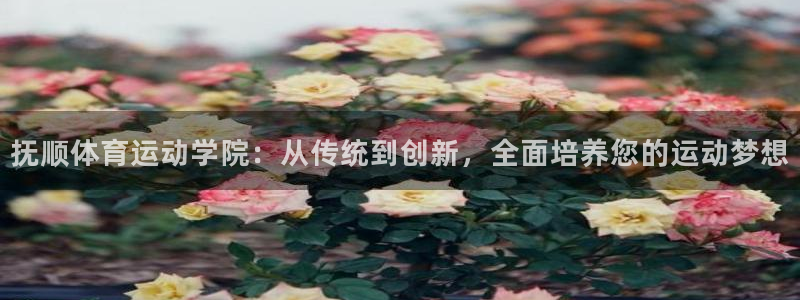 oety欧亿体育官网下载招商