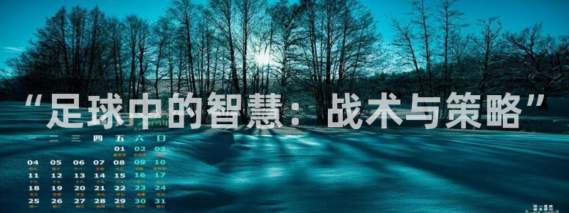 oety欧亿体育官网下载开户：“足球中的智慧：战术与策略”