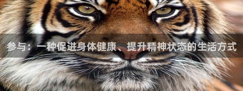 oety欧亿体育官网下载注册：参与：一种促进身体健康、提升精