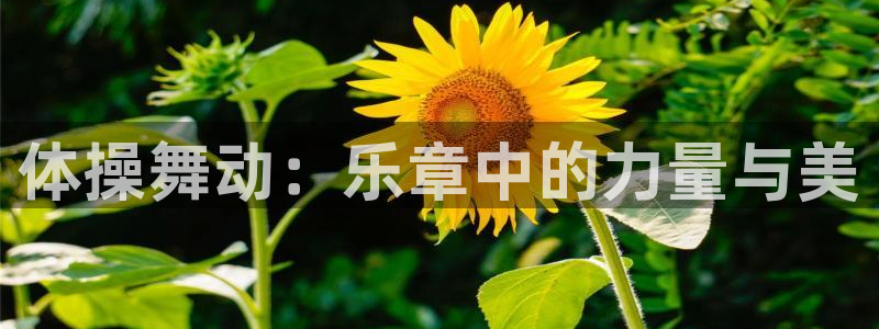 oety欧亿体育官网下载招商电话号码是多少啊：体操舞