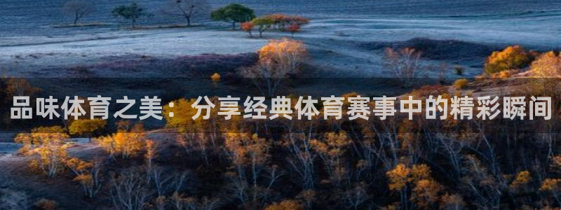 欧亿体育官方平台体育：品味体育之美：分享经典体育赛事中的精彩