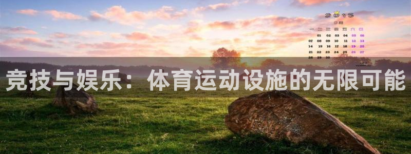 oety欧亿体育官网下载平台假的吗是真的吗吗：竞技与娱乐：体