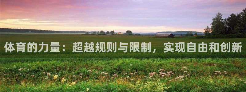 oety欧亿体育官网下载是干嘛的公司：体育的力量：超越规则与