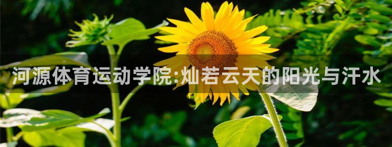 oety欧亿体育：河源体育运动学院: