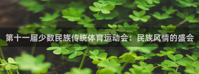 最新欧亿app官方下载安装：第十一届
