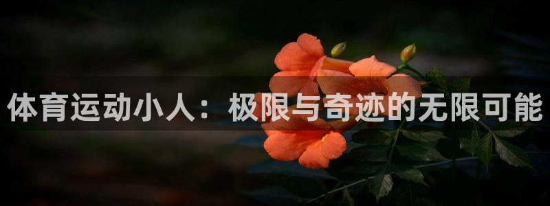 欧亿平台app下载安装欧亿.交易ap