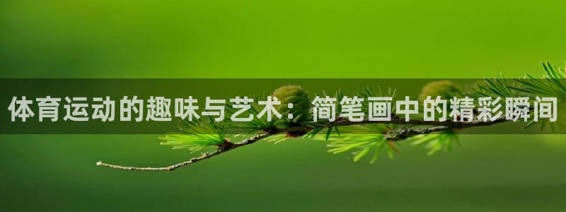 oety欧亿体育平台：体育运动的趣味