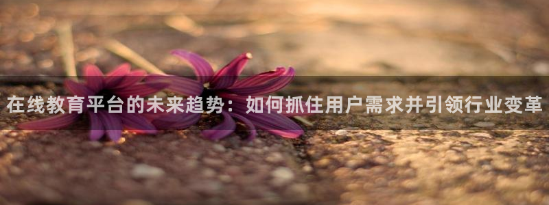 玩球直播下载：在线教育平台的未来趋势：如何抓住用户需求并引领行业变革