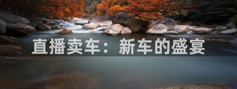 nba直播玩球直播：直播卖车：新车的盛宴