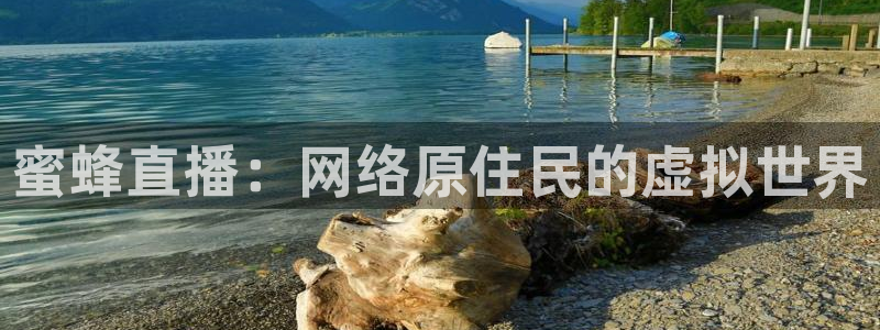 玩球直播app苹果下载：蜜蜂直播：网络原住民的虚拟世界