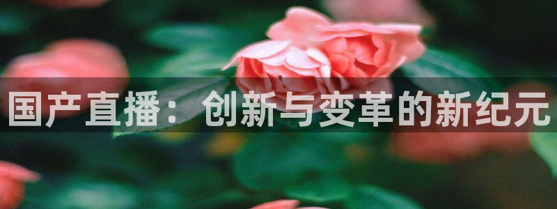 玩球直播app：国产直播：创新与变革的新纪元