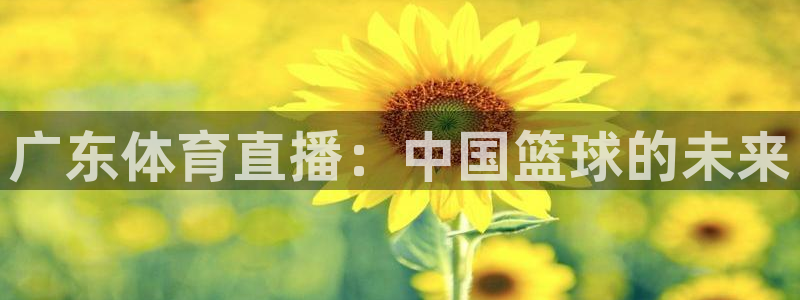 玩球球：广东体育直播：中国篮球的未来