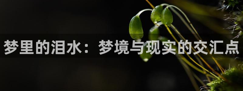 玩球直播app免费下载：梦里的泪水：梦境与现实的交汇点